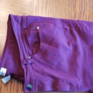 Lane Bryant stretch skinny denim